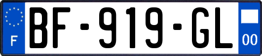 BF-919-GL