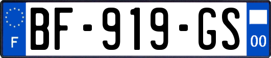BF-919-GS