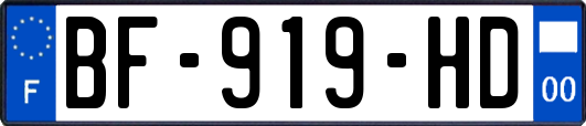 BF-919-HD