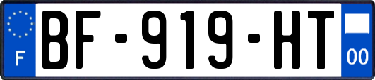 BF-919-HT