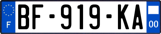 BF-919-KA