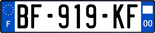 BF-919-KF