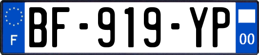 BF-919-YP