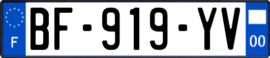 BF-919-YV