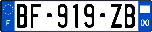 BF-919-ZB