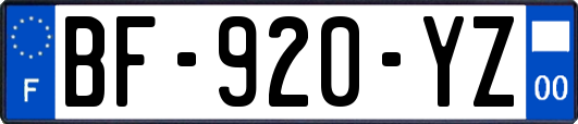 BF-920-YZ