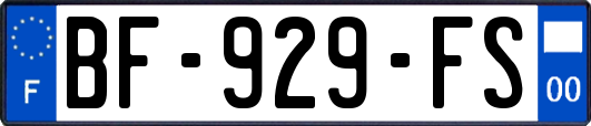 BF-929-FS