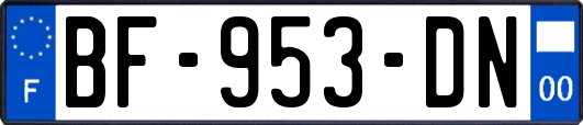BF-953-DN