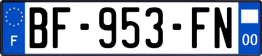 BF-953-FN