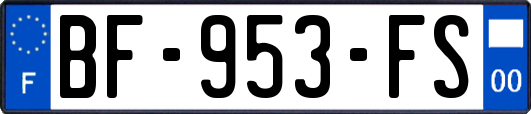 BF-953-FS