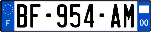 BF-954-AM