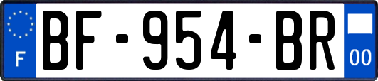 BF-954-BR