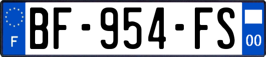 BF-954-FS