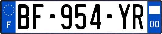 BF-954-YR