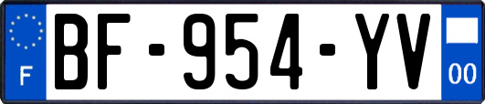 BF-954-YV