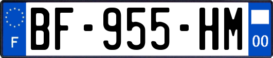 BF-955-HM
