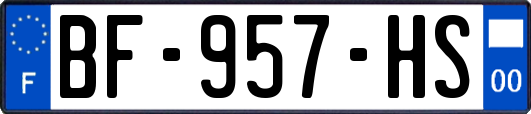 BF-957-HS