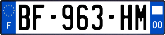 BF-963-HM