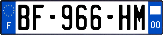 BF-966-HM