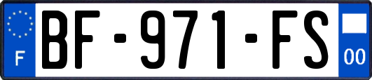 BF-971-FS