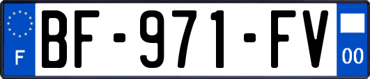 BF-971-FV
