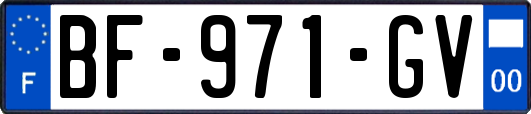 BF-971-GV