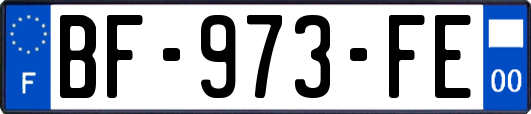 BF-973-FE