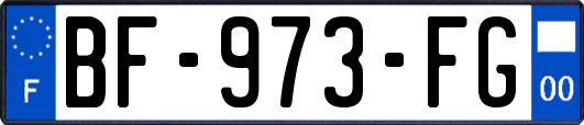 BF-973-FG