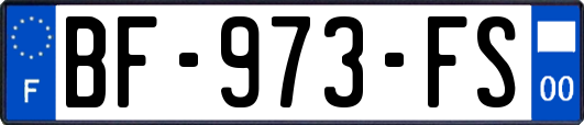 BF-973-FS