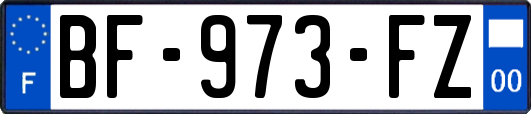 BF-973-FZ