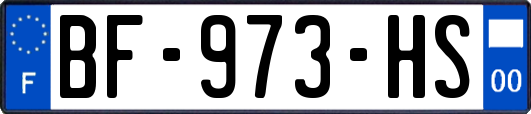 BF-973-HS
