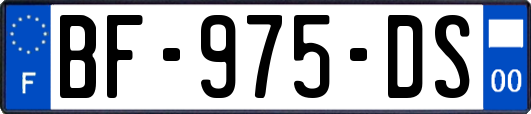 BF-975-DS