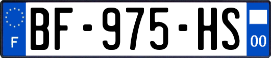 BF-975-HS