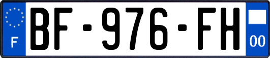 BF-976-FH