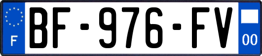 BF-976-FV