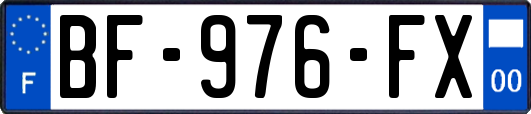 BF-976-FX