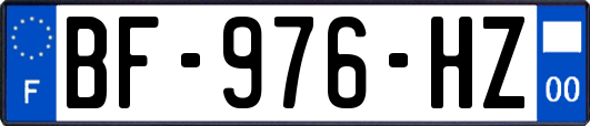 BF-976-HZ