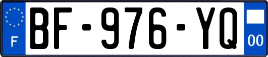 BF-976-YQ