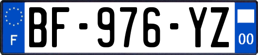 BF-976-YZ