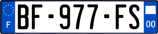 BF-977-FS