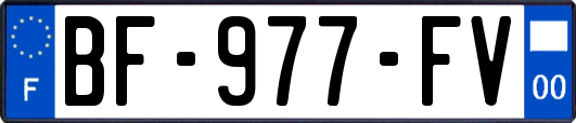 BF-977-FV