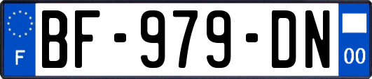 BF-979-DN