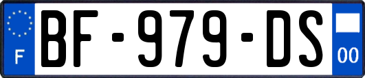 BF-979-DS