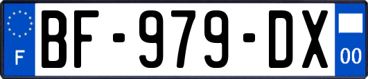 BF-979-DX