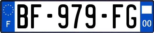 BF-979-FG