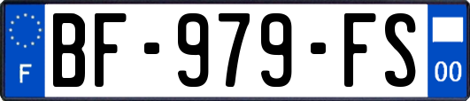 BF-979-FS