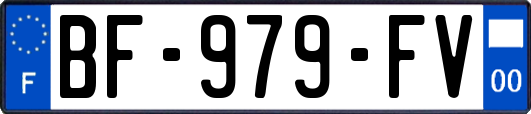 BF-979-FV