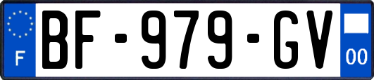 BF-979-GV