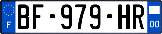 BF-979-HR