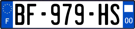 BF-979-HS